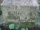 image of grave number 443833